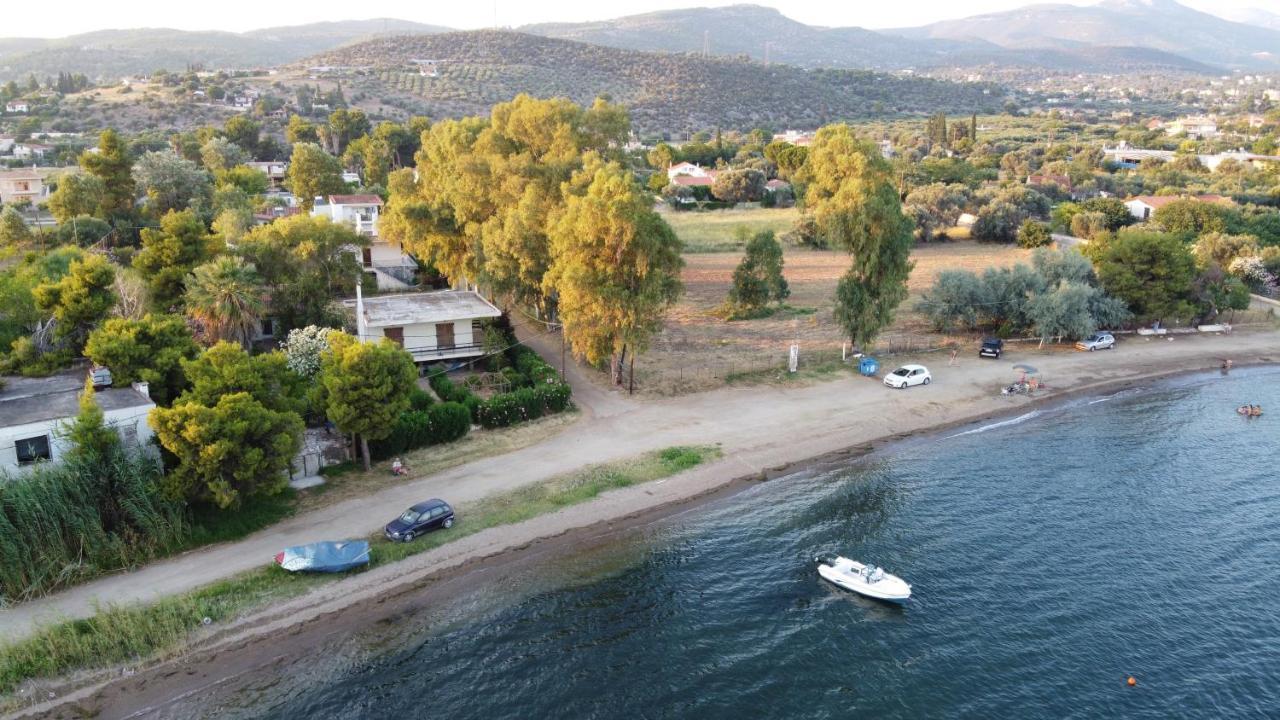 Eretria Holiday House Erétria Exterior photo